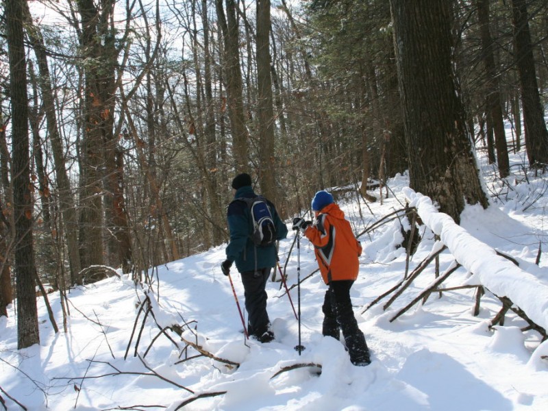 Winter Fun at Sunrise Park Suffield, CT Patch