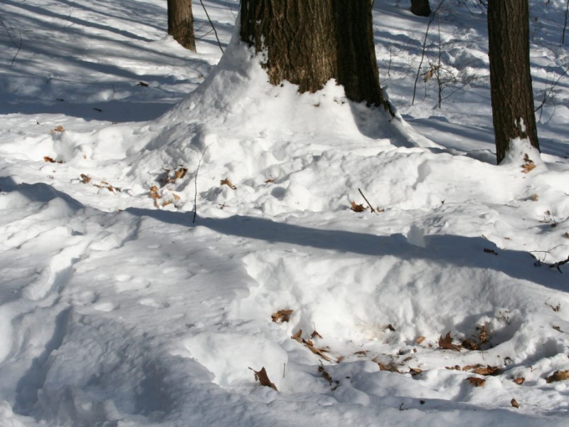 Winter Fun at Sunrise Park Suffield, CT Patch