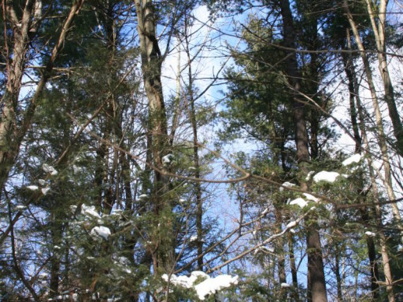 Winter Fun at Sunrise Park Suffield, CT Patch