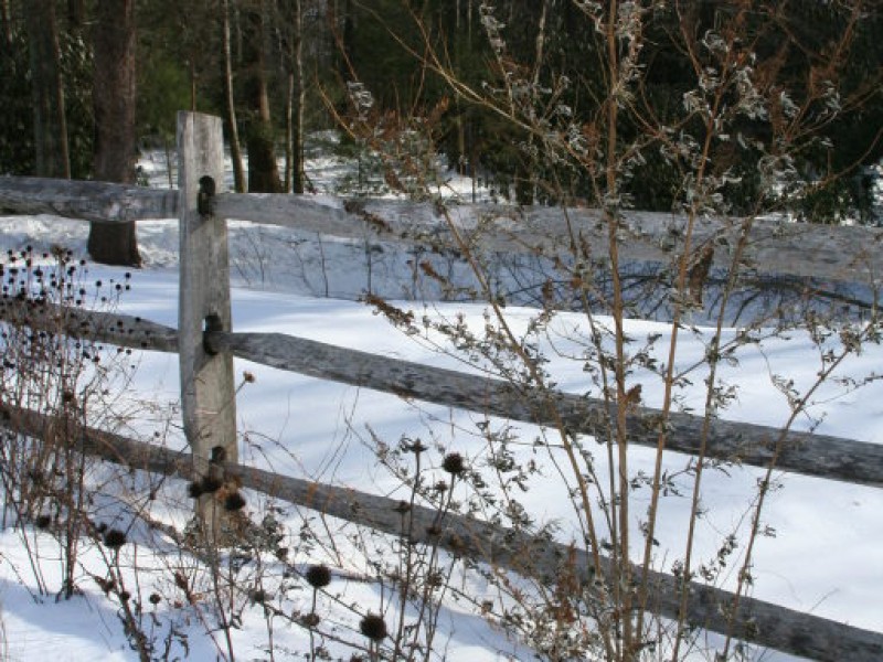 Winter Fun at Sunrise Park Suffield, CT Patch