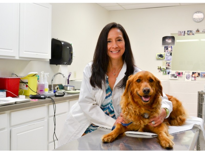 Local Veterinarian Nominated As One Of Nation's Best Levittown, PA Patch