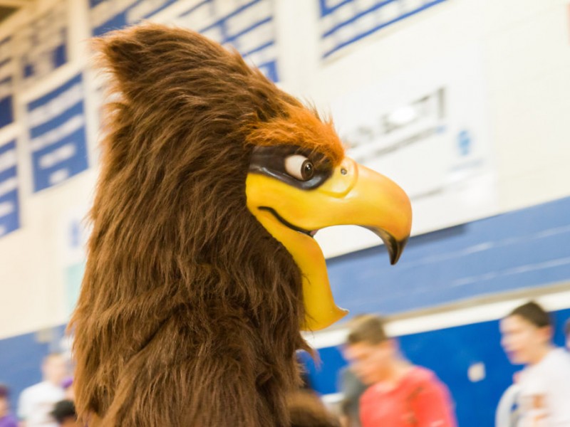 Howard the Hawk, Satz School's New Mascot | Holmdel, NJ Patch
