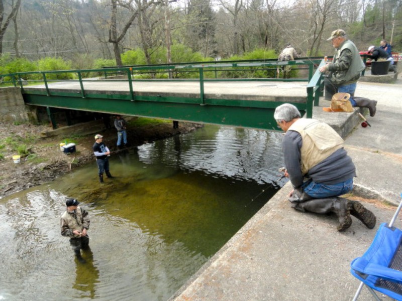 PA Fish And Boat Commission Begins Trout Stocking Schedule | North ...