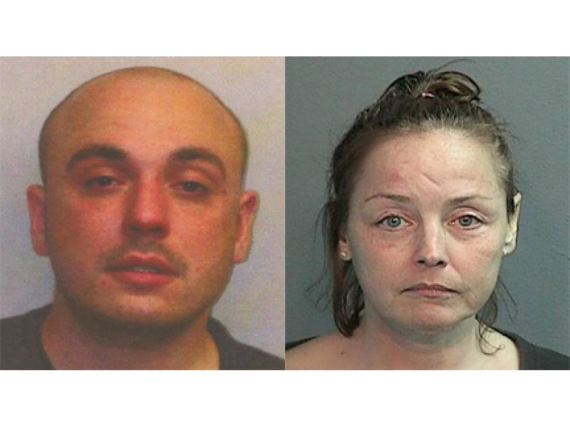 Cops Woman Charged With Burglarizing Lions Head Lake Home Nearly Fled