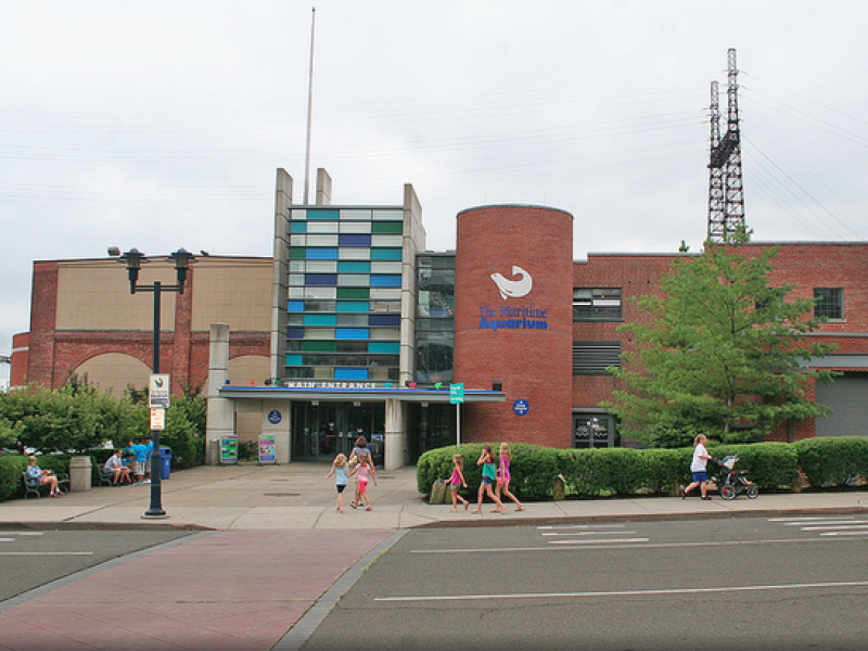 Maritime Aquarium Free Saturday for Norwalk Residents Norwalk, CT Patch