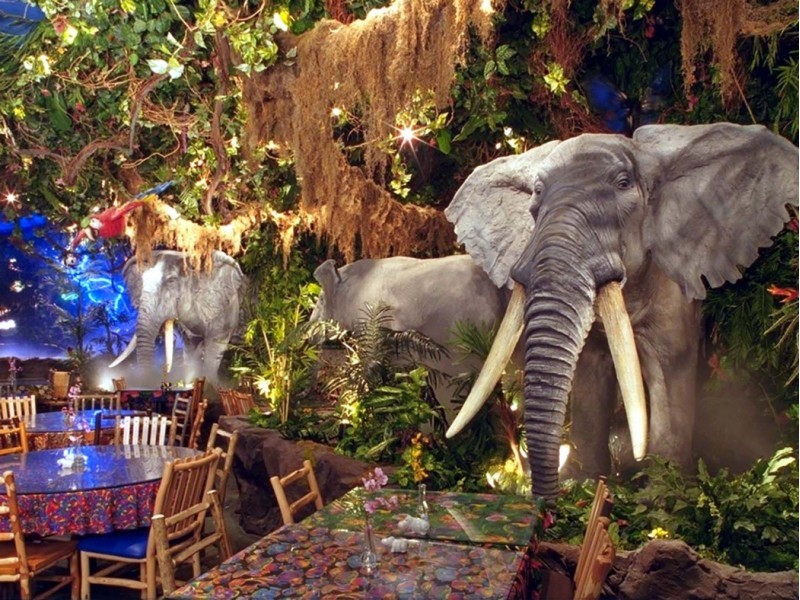 Burlington's Rainforest Cafe Lost Its Lease | Burlington, MA Patch