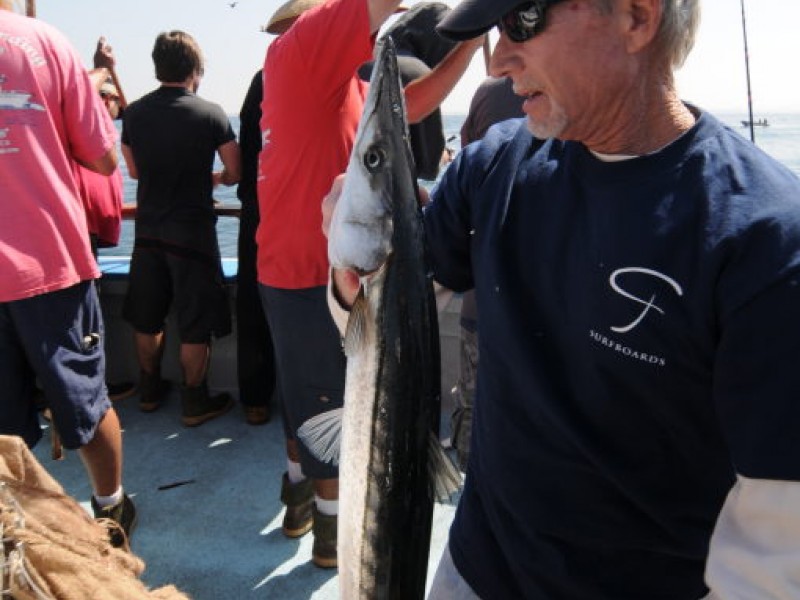 The Barracuda Bite—Including 6 Pending WorldRecord Catches Newport