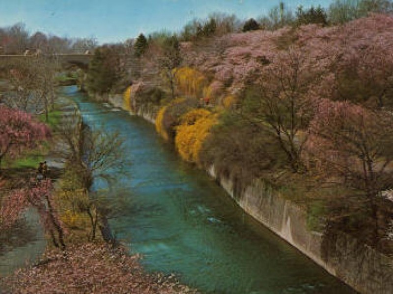 You know you're from Belleville if..... | Belleville, NJ Patch