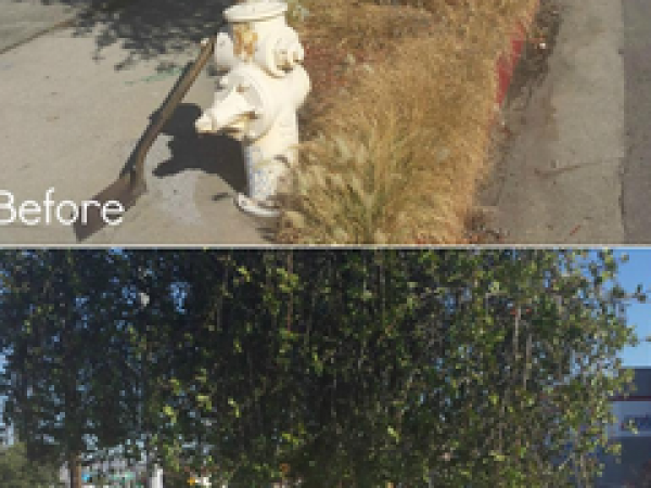 Sun Valley Graffiti Busters Strike Again With Street Cleanups ...