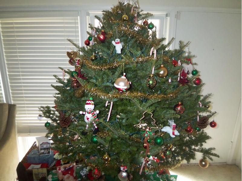 Christmas Tree Fire Safety Tips Manassas, VA Patch