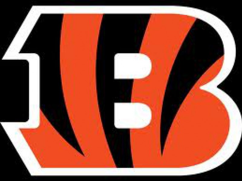 Barnegat Jr Bengals Football & Cheer Registration Tomorrow | Barnegat ...