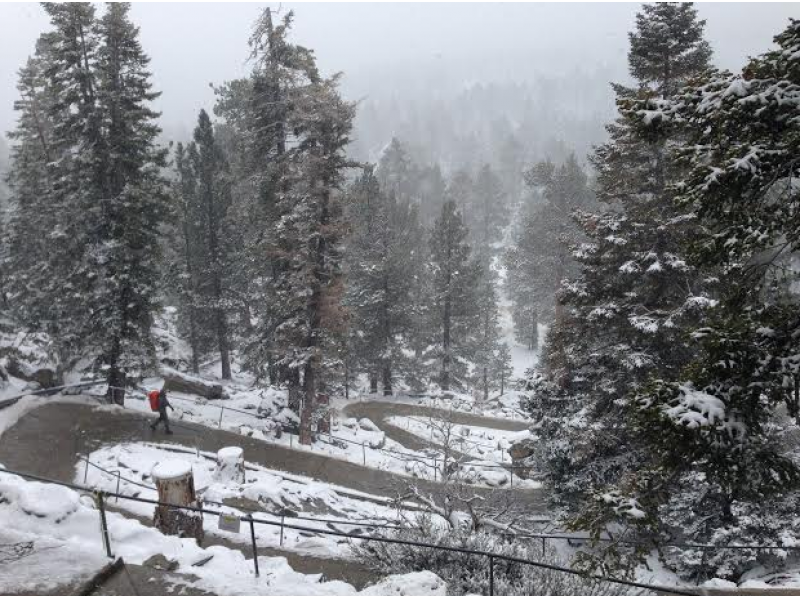 Spring Storm Dumps Snow at Top of Palm Springs Tram Palm Desert, CA Patch