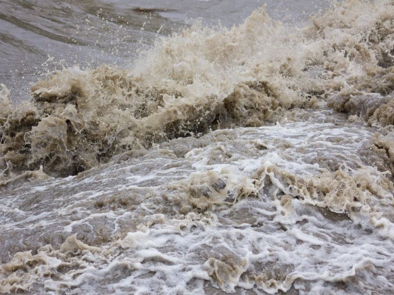 UPDATED Storm Update for Novato 2.21 Inches of Rain in 24 Hours Leads