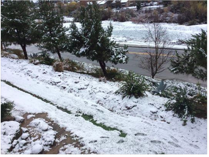 Snow! Temecula Gets Hit by Cold Storm, Rare Snowfall Temecula, CA Patch