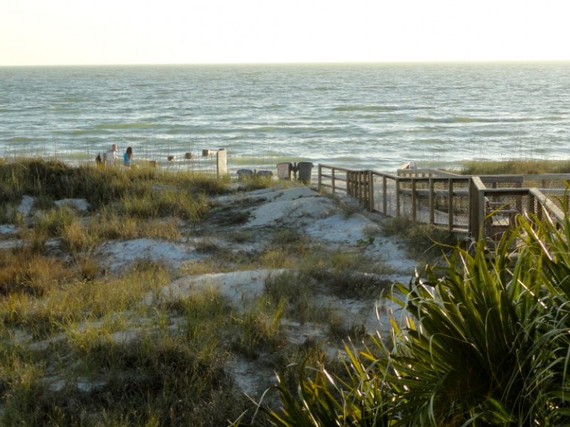 Honeymoon Island Fish Fry Coastal Views, Sandy Toes, Comfort Food