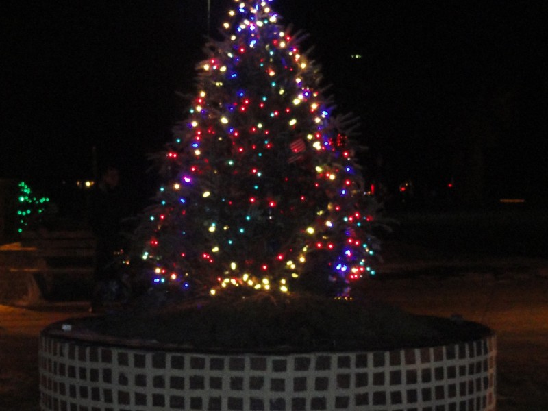 Rose Tree Park's Festival of Lights to Sparkle on Saturday Media, PA