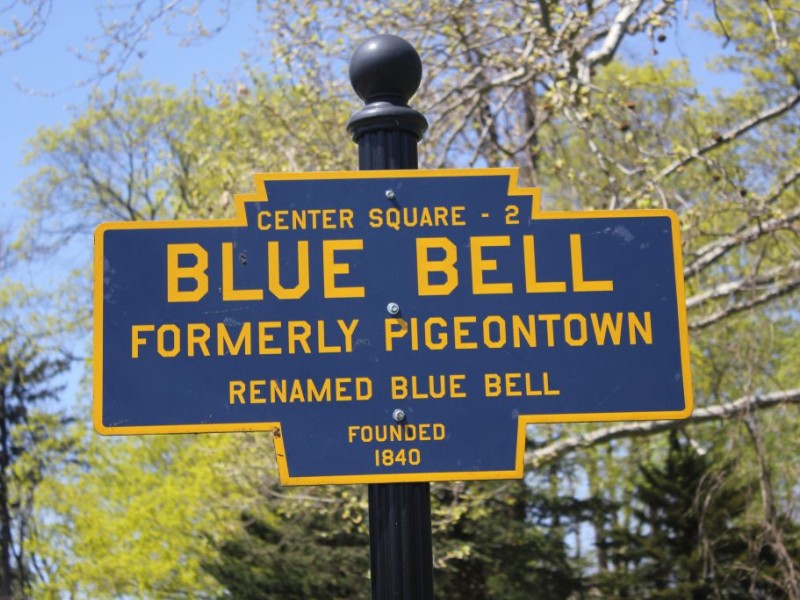 1187 township line road, blue bell, lower gwynedd township, pa 1187 township line road, blue bell, lower gwynedd township, pa