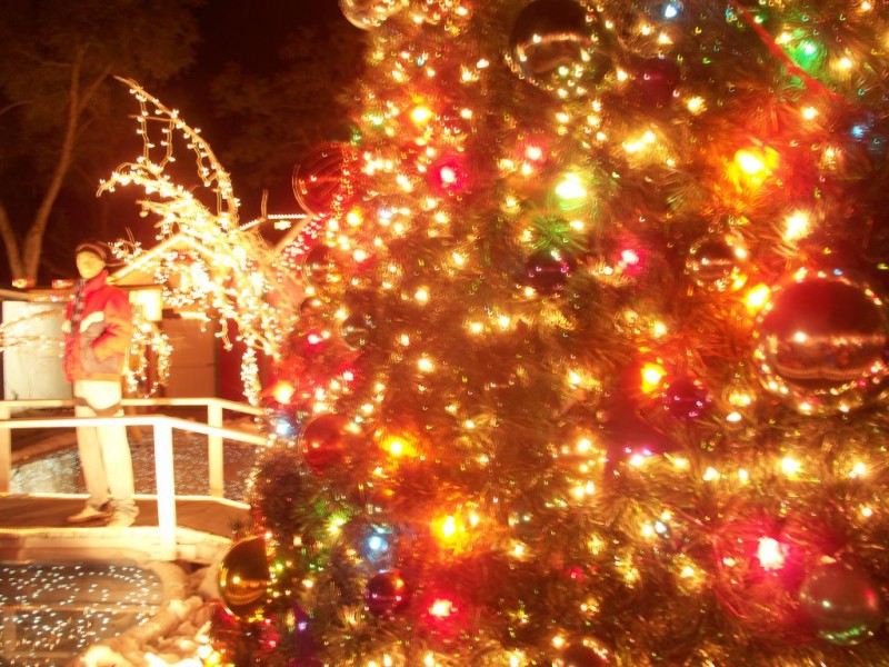 christmas lane lights display tradition draws crowds to christmas lane lights display tradition draws crowds to