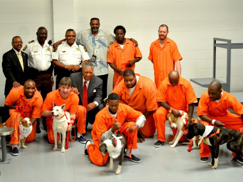 Fulton County Jail Dog Program Gives Sheltered Dogs And Inmates A New