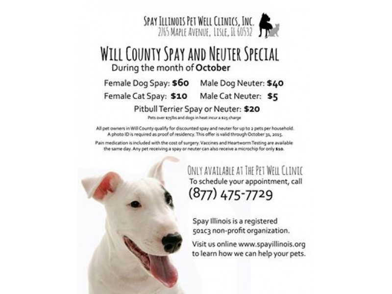 Spay Neuter Month for Will County Residents Homer Glen, IL Patch