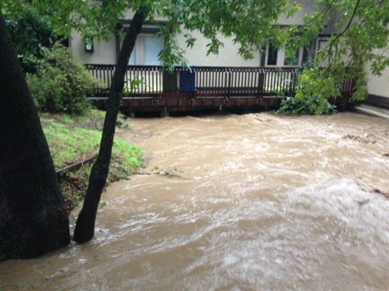 STORM PHOTOS San Anselmo, Fairfax Creeks Inches Away From Flooding