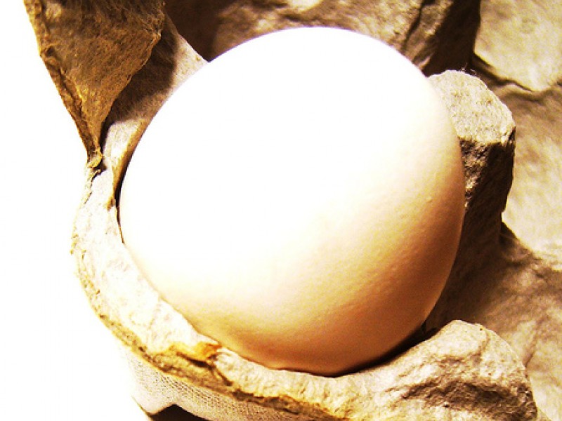 Egg Recall Affects Safeway Shoppers, Not Other Area Supermarkets San