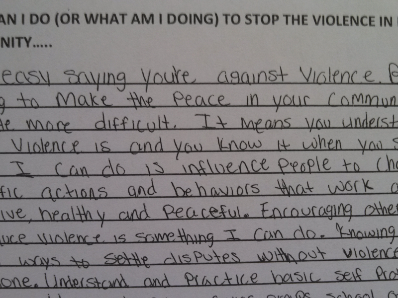 essay writing on non violence