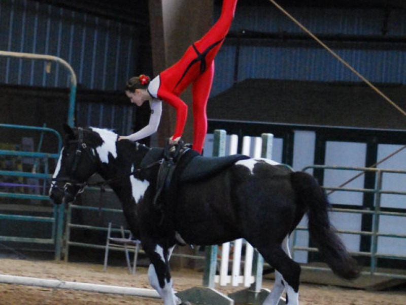 Croquet, Equestrian Vaulting Among Former Olympic Sports Fairfax