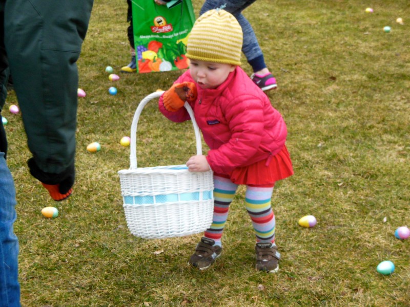 Photo Gallery The Greenwich Lions Club Easter Egg Hunt Greenwich, CT