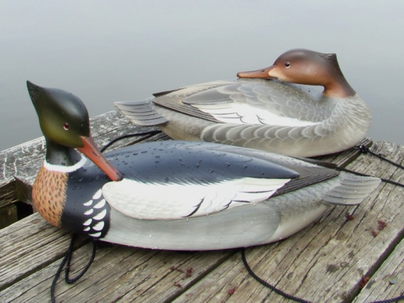 Who Owns The Long Island Ducks Who Owns The Long Island Ducks