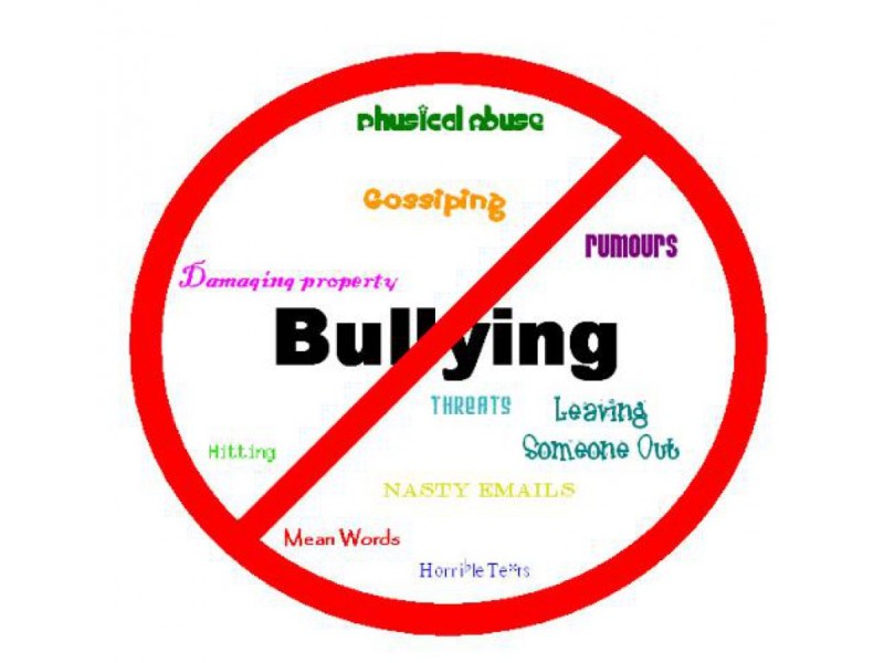 Bullying: A Nationwide Problem For Youth | Newark, CA Patch