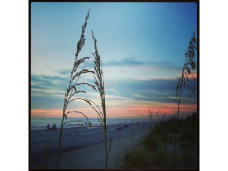 Indian Rocks Beach Sunset Through The Sea Oats Largo Fl Patch Indian Rocks Beach Sunset Through The Sea Oats