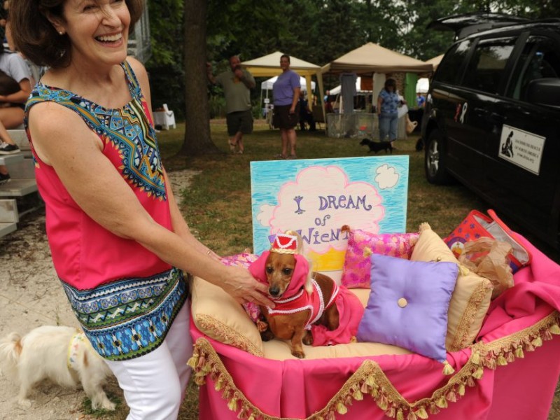 15th Annual Northeast Ohio Dachshund Picnic Held In Northeast Ohio