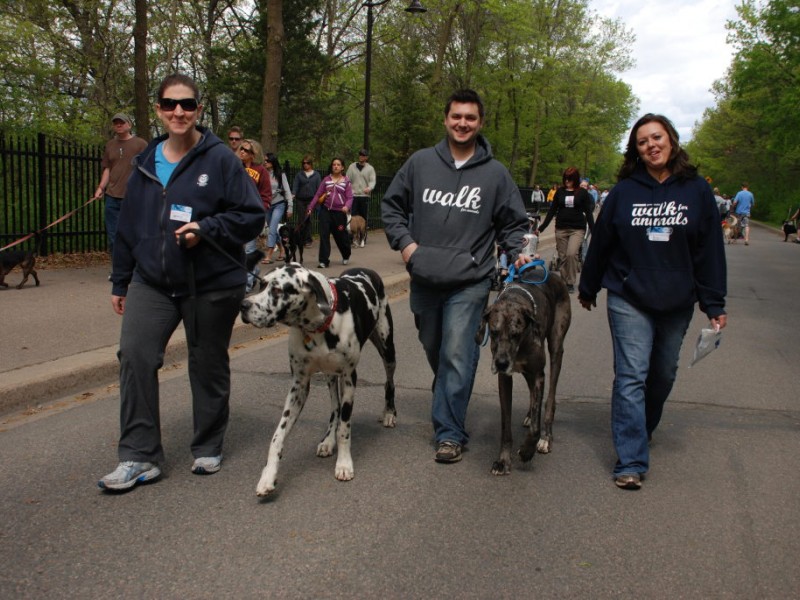 Walk for Animals at Animal Humane Society Golden Valley, MN Patch