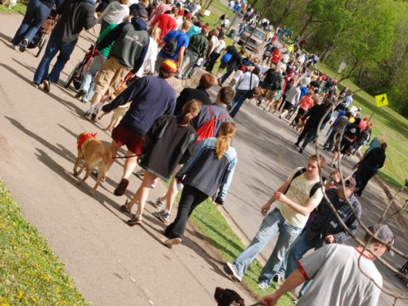 Walk for Animals at Animal Humane Society Golden Valley, MN Patch