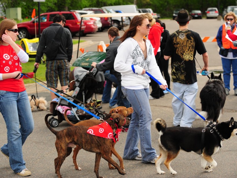 Walk for Animals at Animal Humane Society Golden Valley, MN Patch