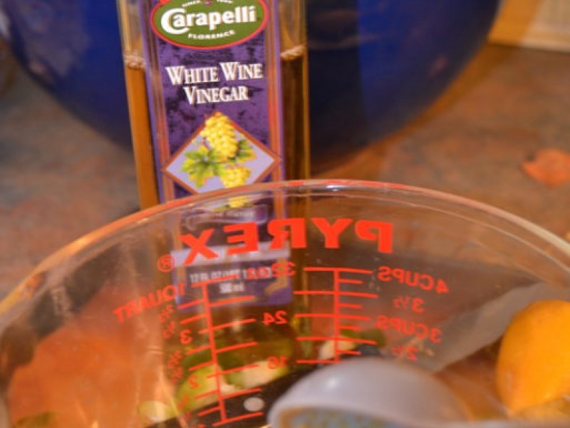 St. Patrick's Day Sprouts? Danvers, MA Patch