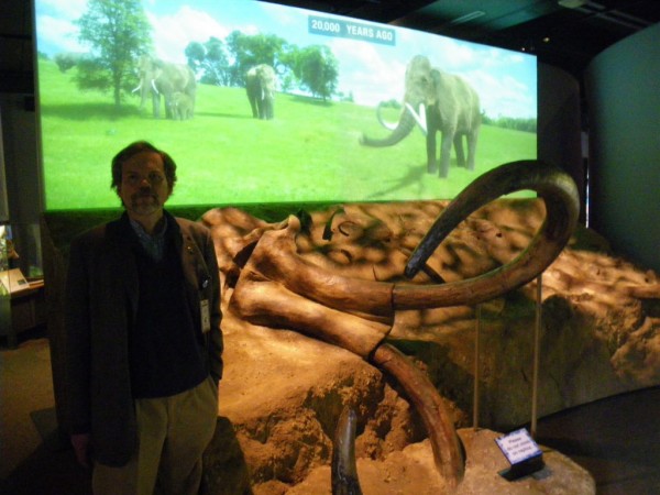 When Mammoths And Mastodons Walked The Earth Missouri History Museum Takes Visitors Back In