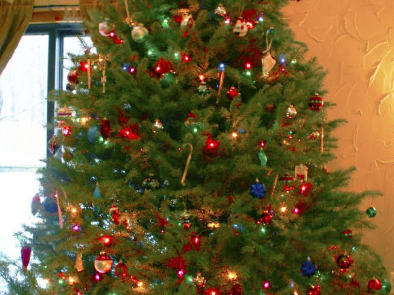 The Convenient Christmas Tree Phoenixville, PA Patch