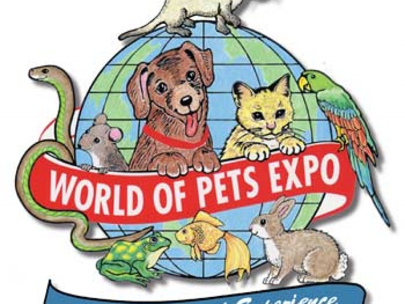 How Far Can Your Dog Jump? Columbia, MD Patch