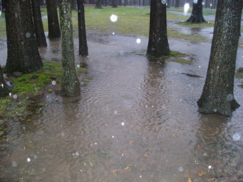 Heavy Rains Bring Flooding in Cranford Cranford, NJ Patch