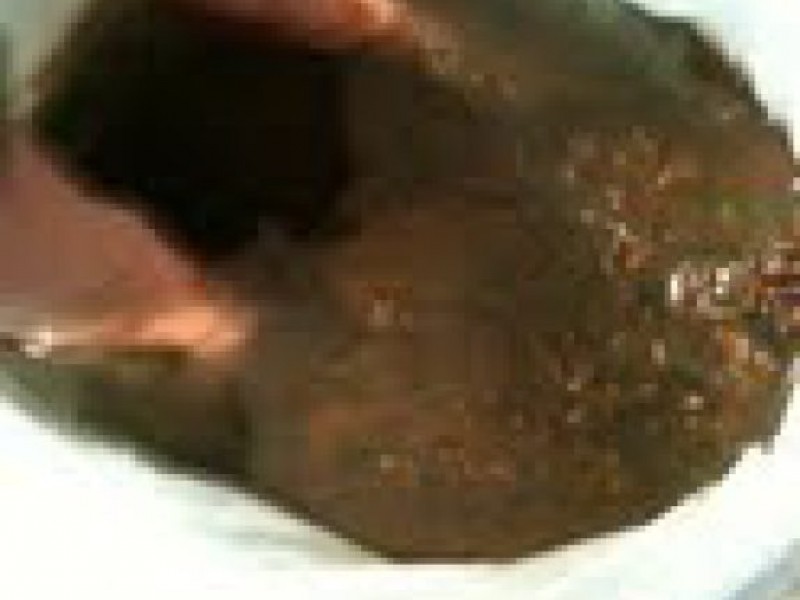 ionic foot bath worms