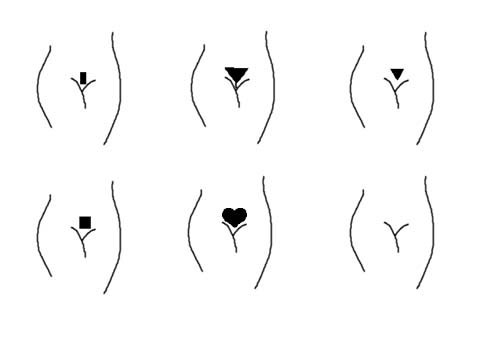 agree, a perfect circle bikini bandits understand you