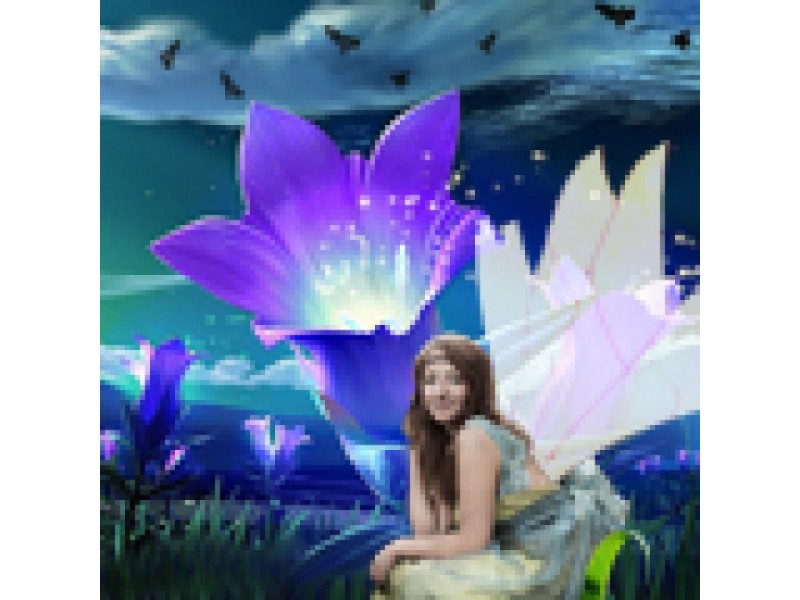 Newport Beach Fairy The Best Beaches In World The Night Fairy Theatre For Young Aunces Newport Beach Ca Patch