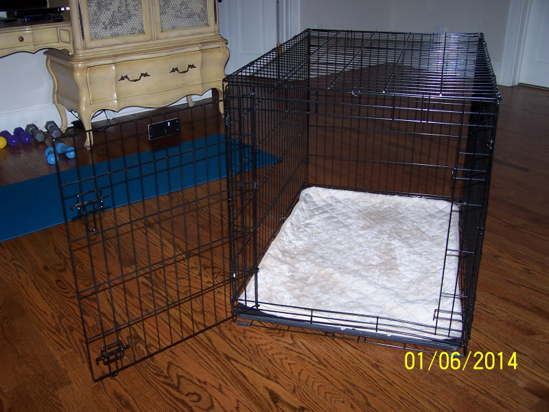 Dog Training Crate Newtown, CT Patch