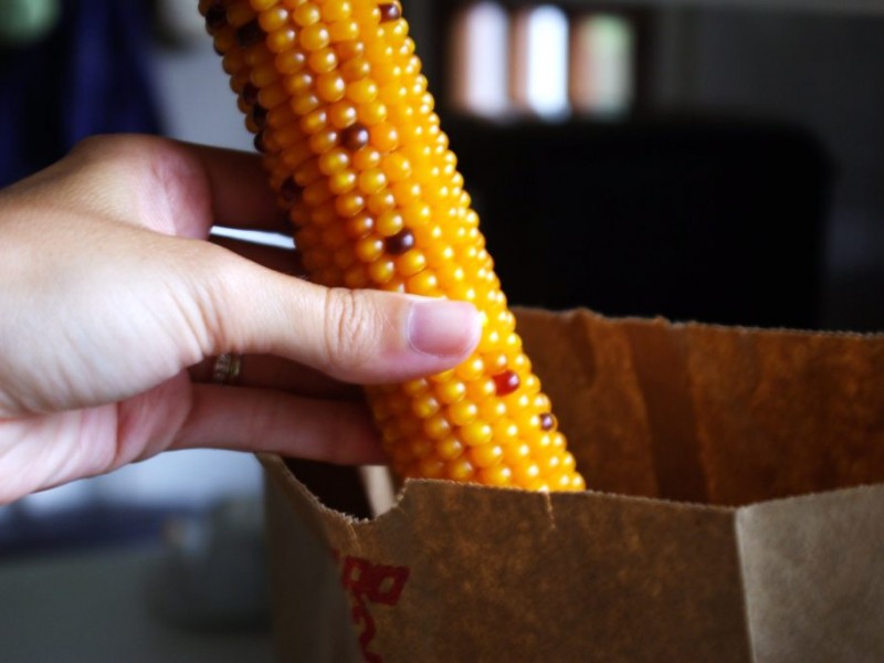 Homemade Farm Fresh Popcorn: Popped From Dried Corn On The Cob ...