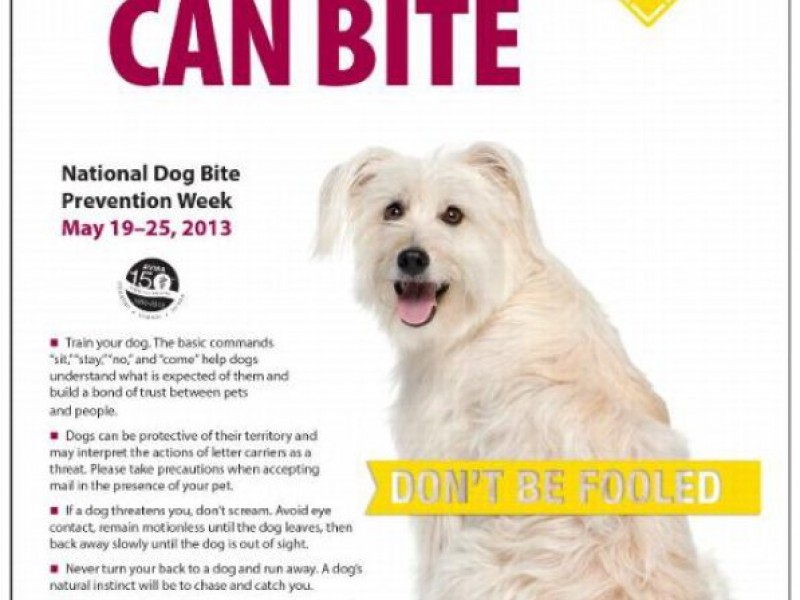 National Dog Bite Prevention Week of May 19-25 | Dedham, MA Patch