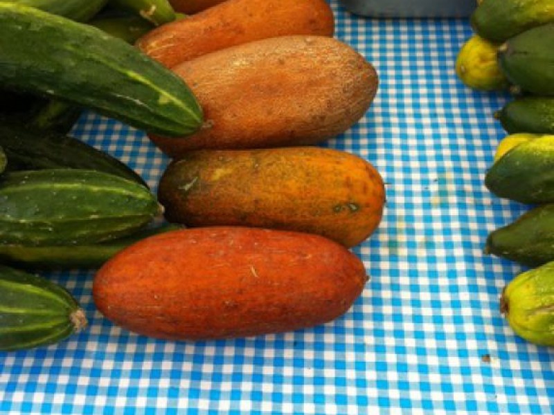 orange cucumbers