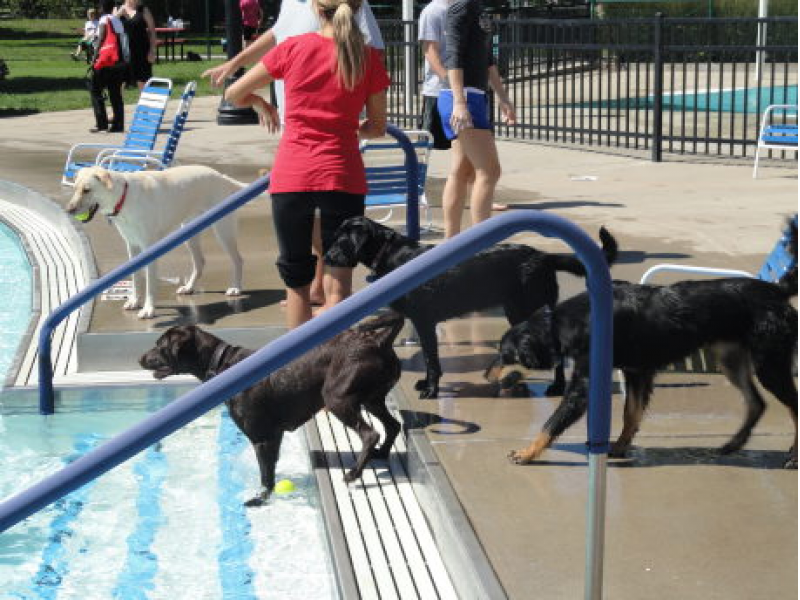 ellen linson outdoor pool