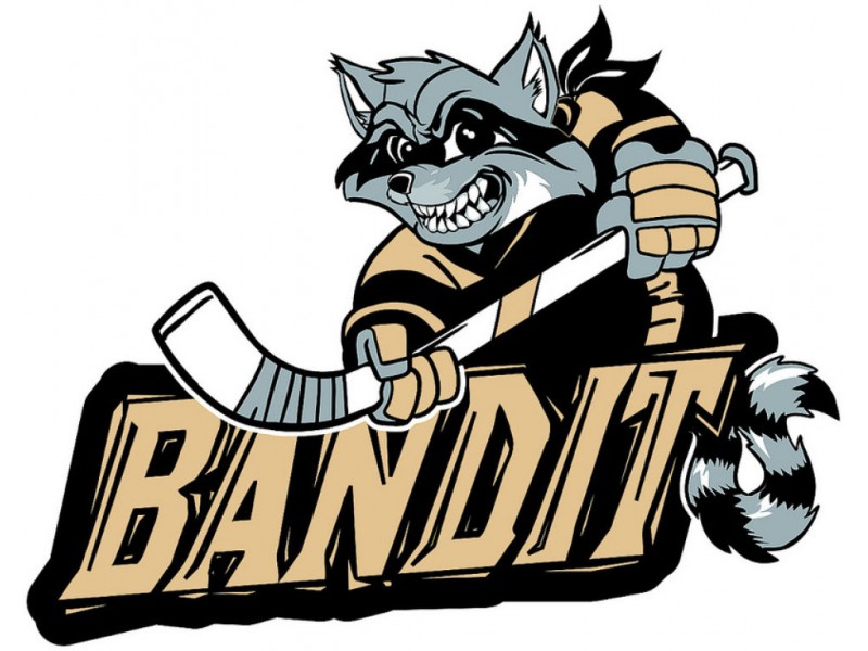 Local Hockey Team to Compete in National Championship Cumming, GA Patch